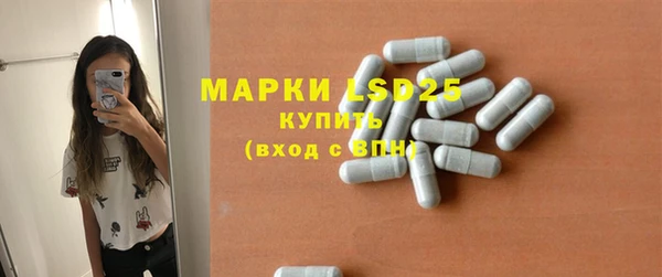ПСИЛОЦИБИНОВЫЕ ГРИБЫ Абаза